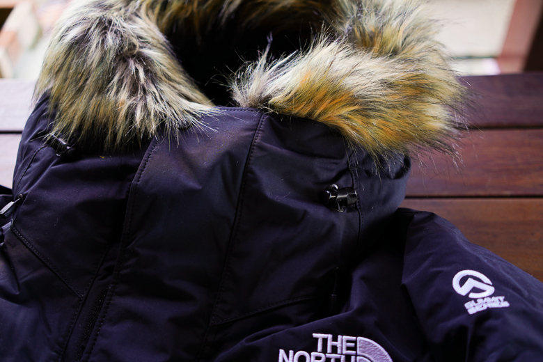 THE NORTH FACE サザンクロスパーカ フード部分