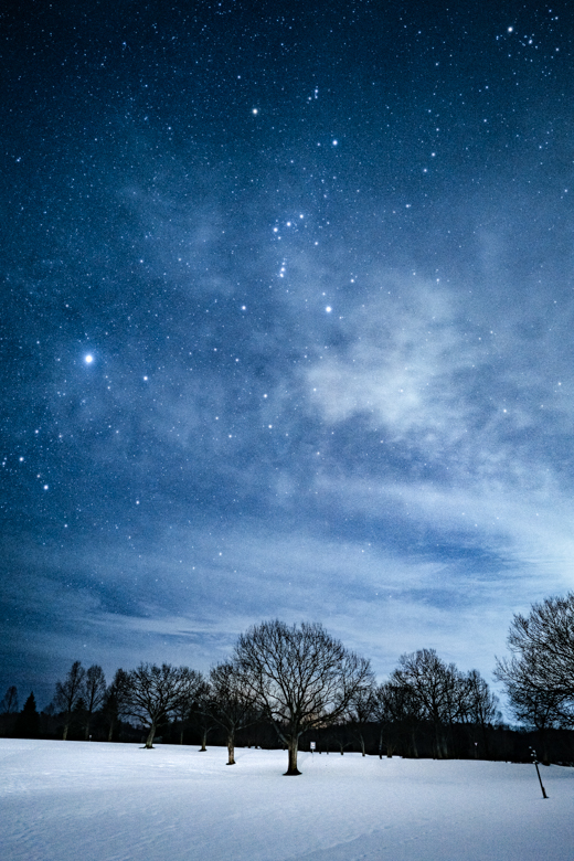 スノーピーク Headquartersの星空