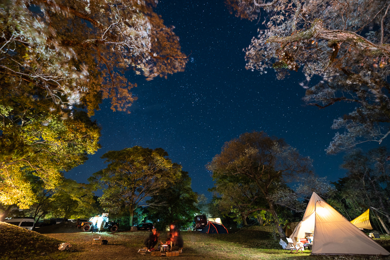 墓の木自然公園キャンプ場