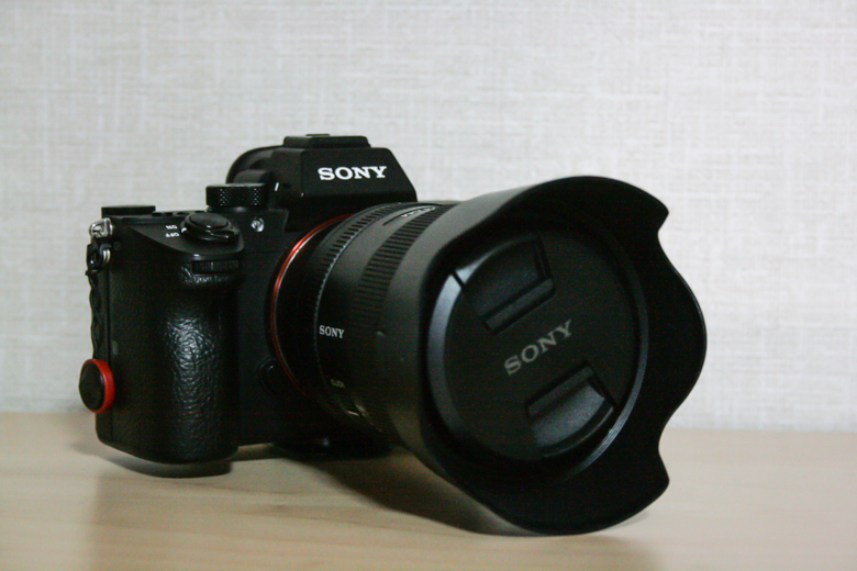 SONY a7iiiにFE 24mm F1.4 GMを取り付けた写真