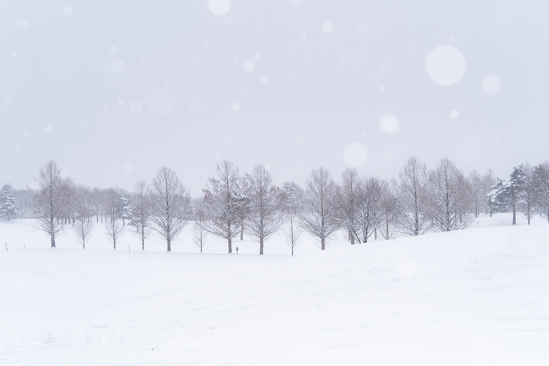 スノーピーク Headquartersの雪景色