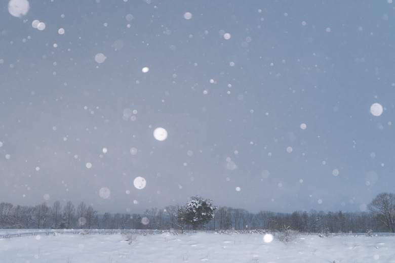 スノーピーク Headquartersの雪景色