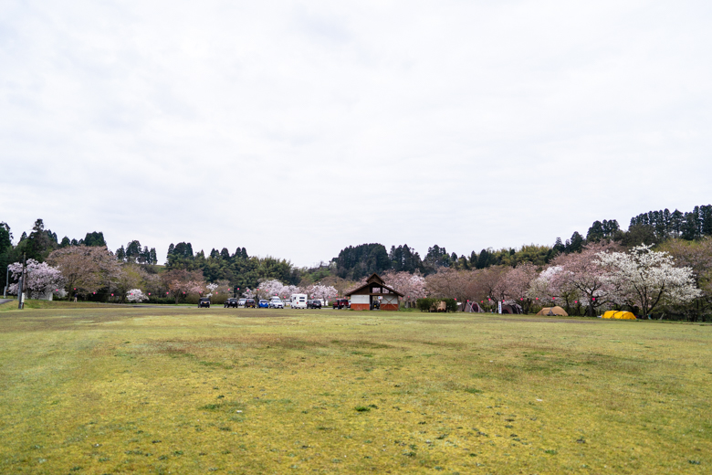 上和田緑地キャンプ場 