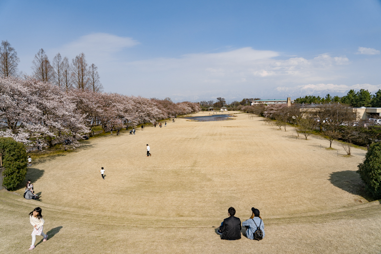 富山市のお花見スポット 富山県中央植物園で桜ポートレート撮ってきました ファミリーキャンプで カシャッとな