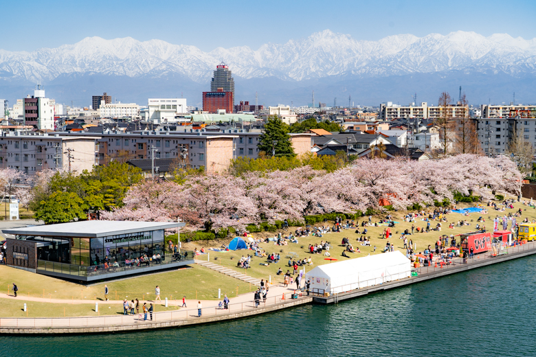 環水公園の桜と立山連峰