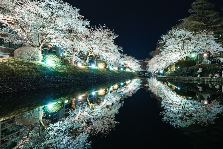 松川べりの桜