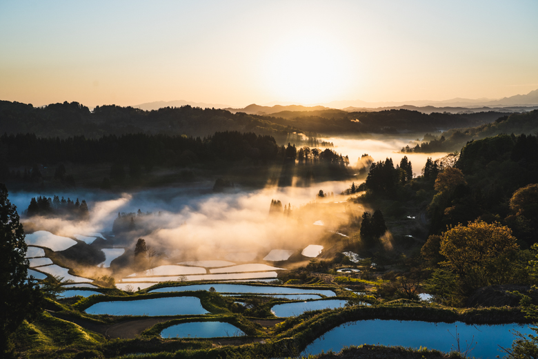 星峠の棚田の朝