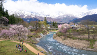 白馬村 大出の吊橋