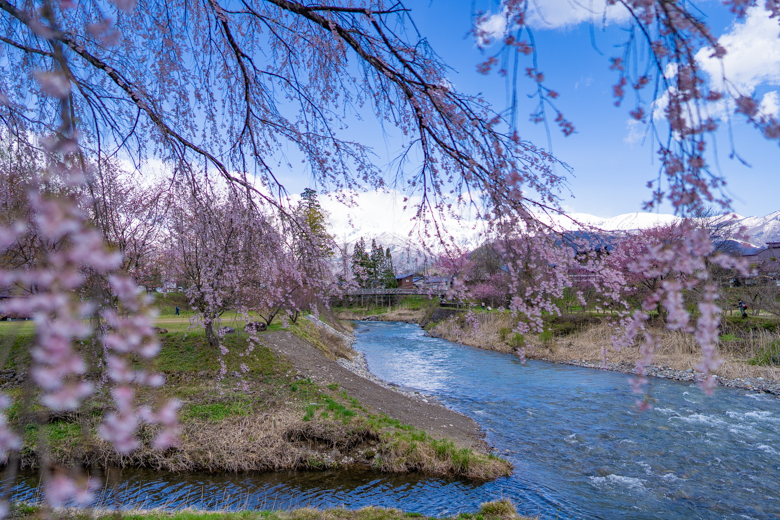 白馬村 大出の吊橋