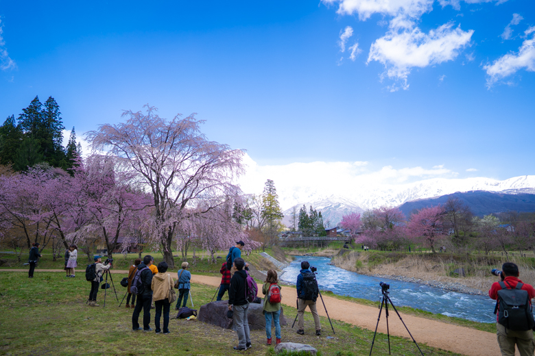 白馬村 大出の吊橋