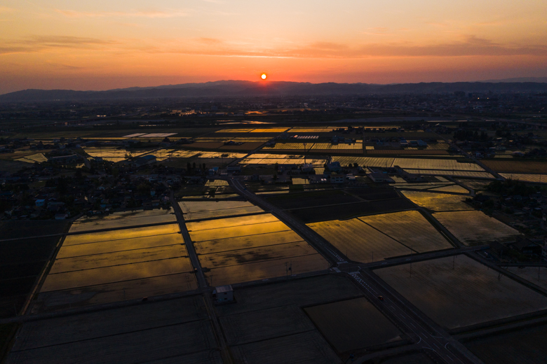 ドローンで撮影した田んぼに映った夕焼け。