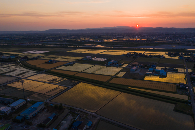 ドローンで撮影した田んぼに映った夕焼け。