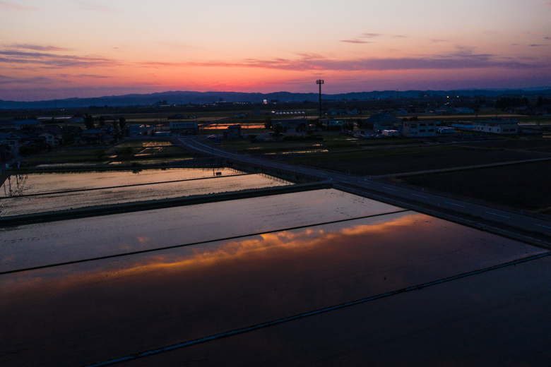 ドローンで撮影した田んぼに映った夕焼け。